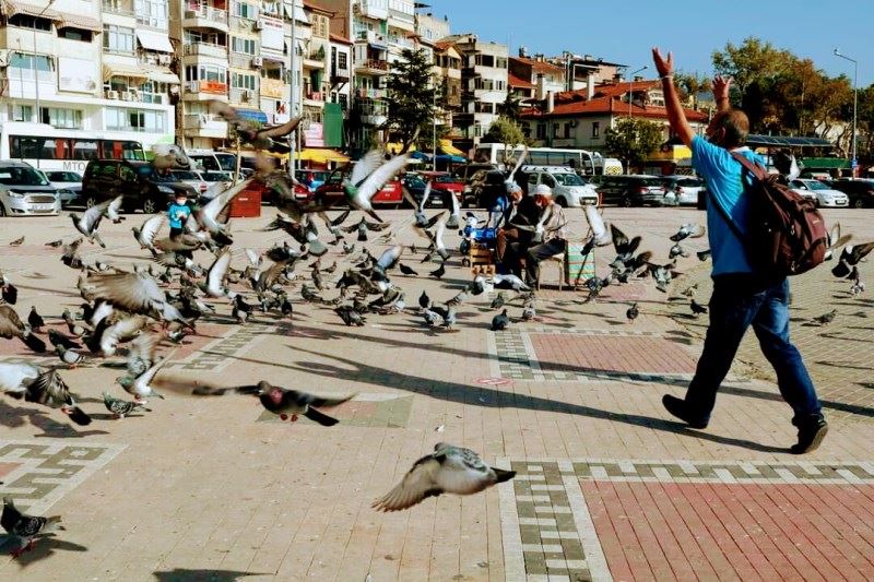 HAYAT KISA, KUŞLAR UÇUYOR..